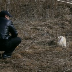 Парень из Тамбова. Ищу девушку для занятия сексом без обязательств Парень из Тамбова. Ищу девушку для занятия сексом без обязательств